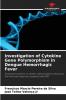 Investigation of Cytokine Gene Polymorphism in Dengue Hemorrhagic Fever