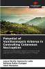 Potential of Vanillosmopsis Arborea in Controlling Cutaneous Nociception