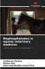Bisphosphonates in equine veterinary medicine