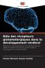 Rôle des récepteurs glutamatergiques dans le développement cérébral