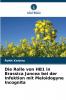 Die Rolle von HB1 in Brassica Juncea bei der Infektion mit Meloidogyne Incognita