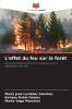 L'effet du feu sur la forêt