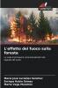L'effetto del fuoco sulla foresta