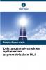 Leistungsanalyse eines optimierten asymmetrischen MLI