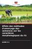 Effets des méthodes d'amorçage des semences sur les caractères morphologiques du riz