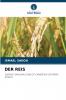 DER REIS