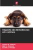 Impacto da demodecose em caninos