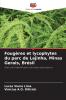 Fougères et lycophytes du parc de Lajinha Minas Gerais Brésil