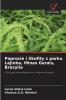 Paprocie i likofity z parku Lajinha Minas Gerais Brazylia