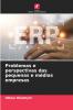 Problemas e perspectivas das pequenas e médias empresas