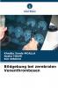 Bildgebung bei zerebralen Venenthrombosen