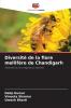Diversité de la flore mellifère de Chandigarh