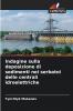 Indagine sulla deposizione di sedimenti nei serbatoi delle centrali idroelettriche