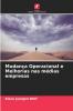 Mudança Operacional e Melhorias nas médias empresas