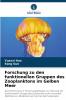 Forschung zu den funktionellen Gruppen des Zooplanktons im Gelben Meer