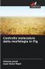 Controllo molecolare della morfologia in Fig
