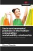Socio-environmental practices in the fashion-consumption-sustainability relationship
