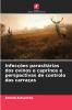 Infecções parasitárias dos ovinos e caprinos e perspectivas de controlo das carraças