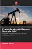 Produção de petróleo em Moanda RDC