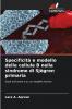 Specificità e modello delle cellule B nella sindrome di Sjögren primaria