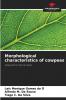 Morphological characteristics of cowpeas