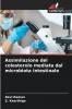 Assimilazione del colesterolo mediata dal microbiota intestinale