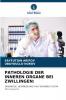 PATHOLOGIE DER INNEREN ORGANE BEI ZWILLINGEN