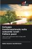 Sviluppo trasformazionale nelle comunità rurali - Fattore pozzi
