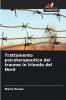 Trattamento psicoterapeutico del trauma in Irlanda del Nord