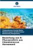 Bewertung von R-Phycoerythrin aus Chondrococcus Hornemonii