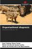 Organisational diagnosis