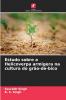 Estudo sobre a Helicoverpa armigera na cultura do grão-de-bico