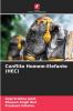 Conflito Homem-Elefante (HEC)