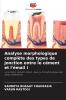 Analyse morphologique complète des types de jonction entre le cément et l'émail i