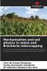 Mechanisation and soil physics in maize and Brachiaria intercropping