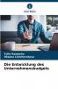 Die Entwicklung des Unternehmensbudgets