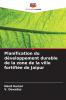 Planification du développement durable de la zone de la ville fortifiée de Jaipur