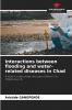 Interactions between flooding and water-related diseases in Chad