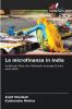 La microfinanza in India
