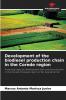 Development of the biodiesel production chain in the Corede region