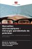 Merveilles microscopiques