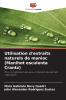 Utilisation d'extraits naturels de manioc (Manihot esculenta Crantz)