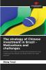 The strategy of Chinese investment in Brazil - Motivations and challenges