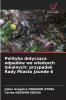 Polityka dotycz?ca odpadów we w?adzach lokalnych