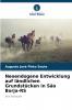 Neoendogene Entwicklung auf ländlichen Grundstücken in São Borja-RS
