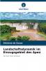 Landschaftsdynamik im Einzugsgebiet des Apeú