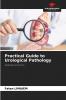 Practical Guide to Urological Pathology