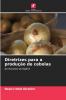 Diretrizes para a produção de cebolas