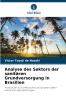 Analyse des Sektors der sanitären Grundversorgung in Brasilien