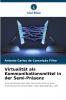 Virtualität als Kommunikationsmittel in der Semi-Präsenz